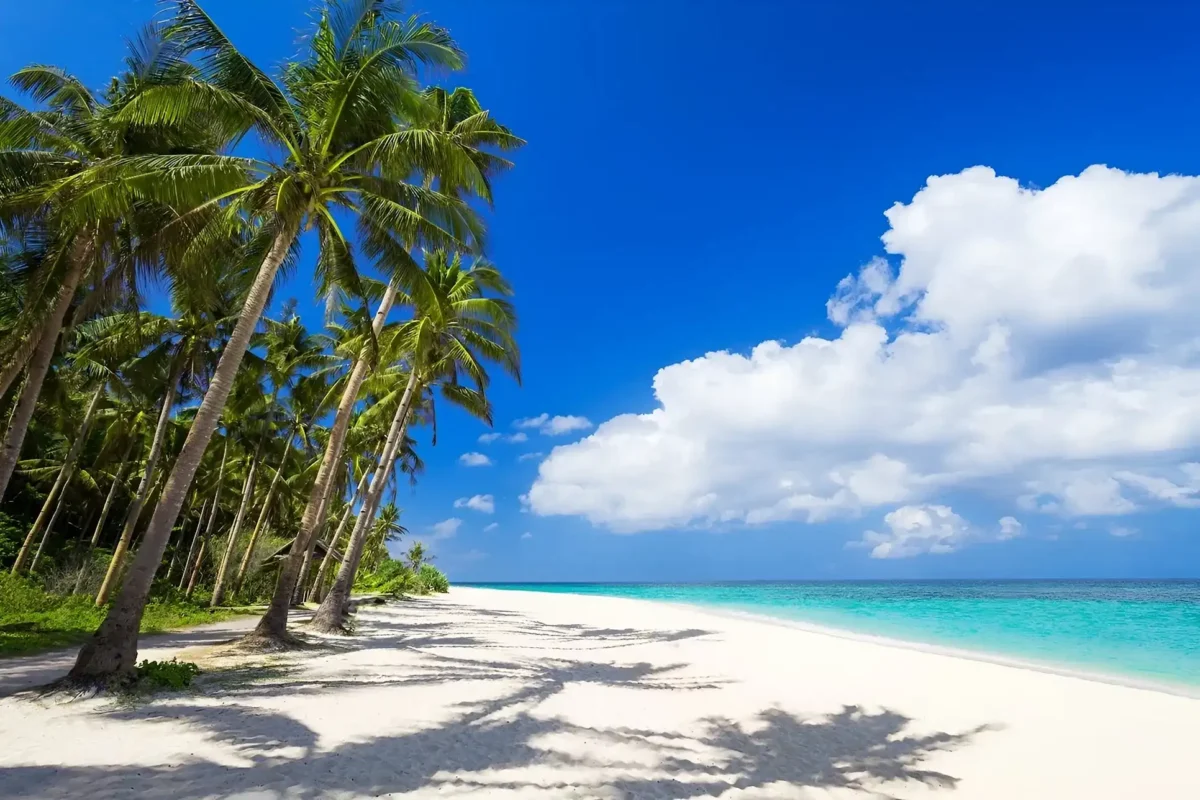 en San Andrés disfruta de una hermosa vista de la playa.