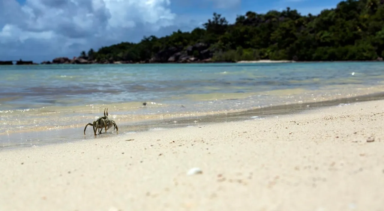 vive una experiencia en tus vacaciones en una de las ,as hermosas playas en san andres.